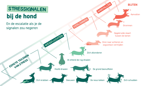 Schema stresssignalen bij honden