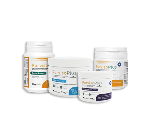 Purviso assortiment Purviso plus voor katten