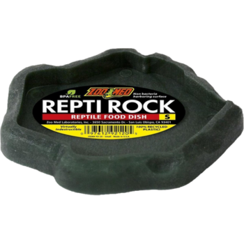 Eetkom voor hagedissen