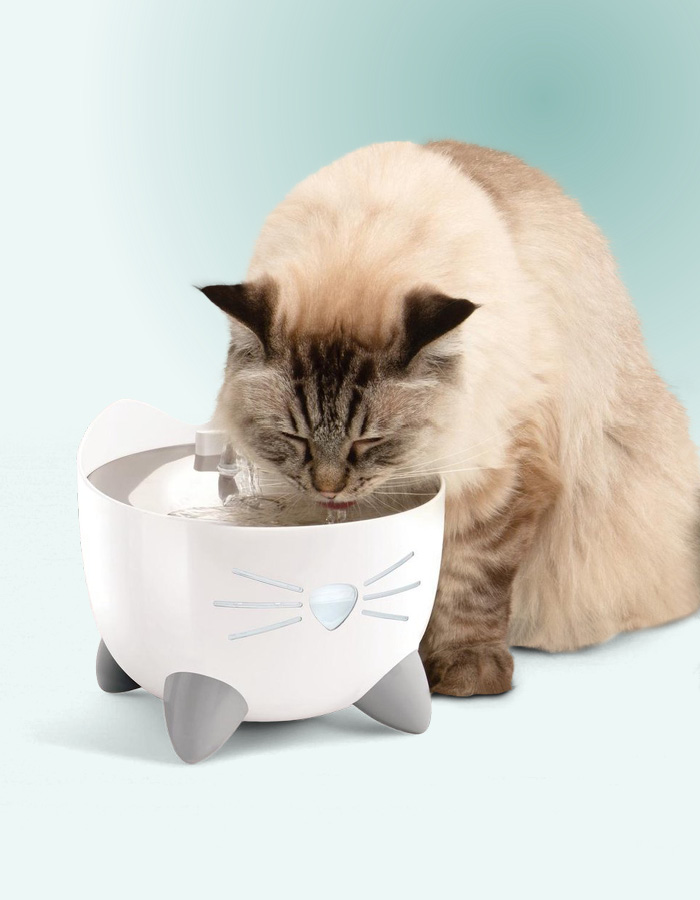 Chat buvant de l’eau à une fontaine pour rester hydraté.