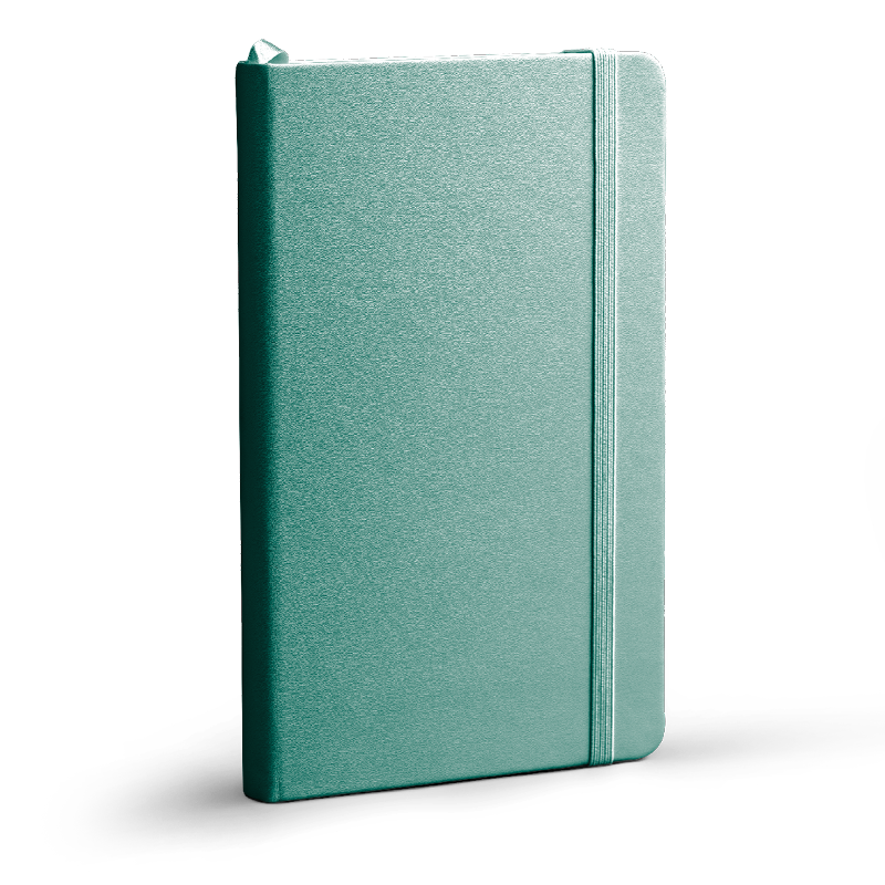 Carnet pour suivre la routine du chien et repérer les habitudes.