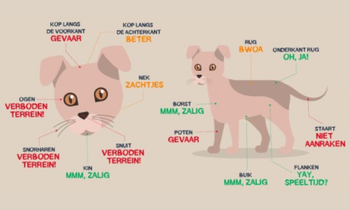 Welke zones mag ik mijn hond aaien?