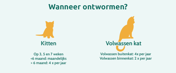 Schema van wanneer kitten of volwassen kat laten ontwormen
