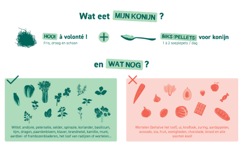 Schema wat eet een konijn
