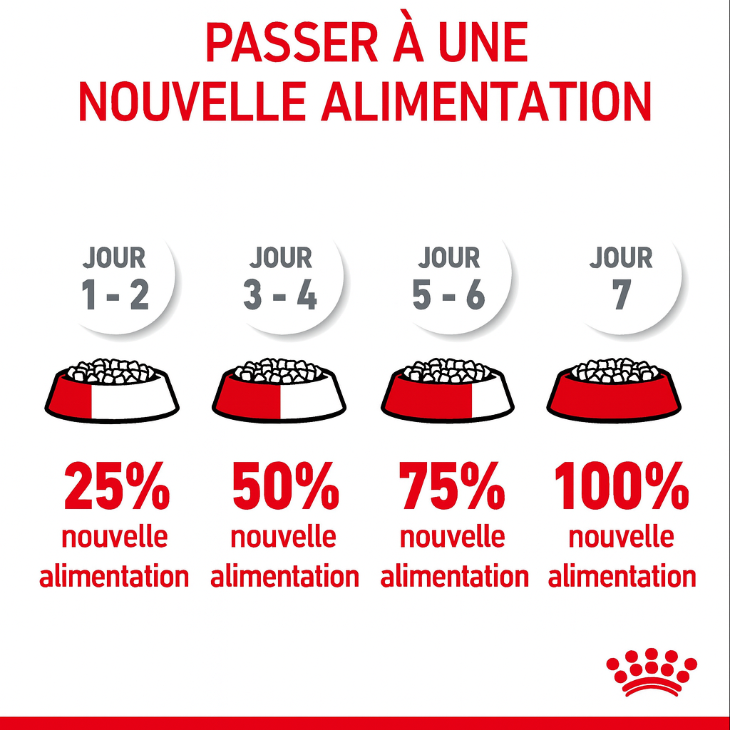 Programme pour changer progressivement l'alimentation de votre chien