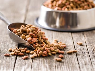 Eten voor Duitse Herder als puppy