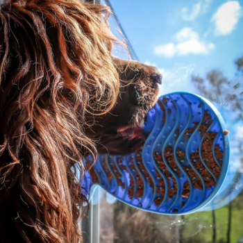 Tapis à lécher Kong pour chien