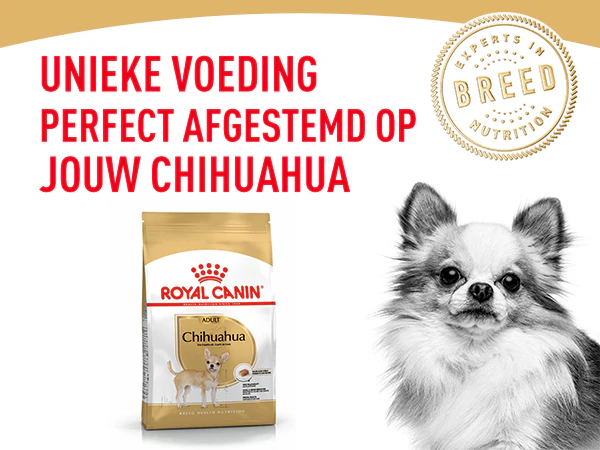 Royal Canin unieke voeding afgestemd op jouw Chihuahua