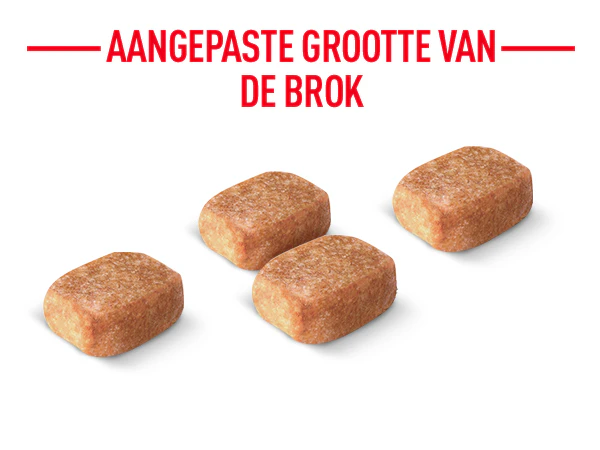 Royal canin Chihuahua aangepaste brokjes pictogram