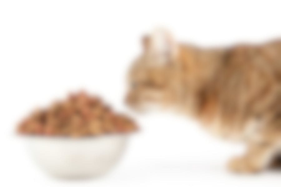 croquettes Royal Canin Satiety Weight Management Chat