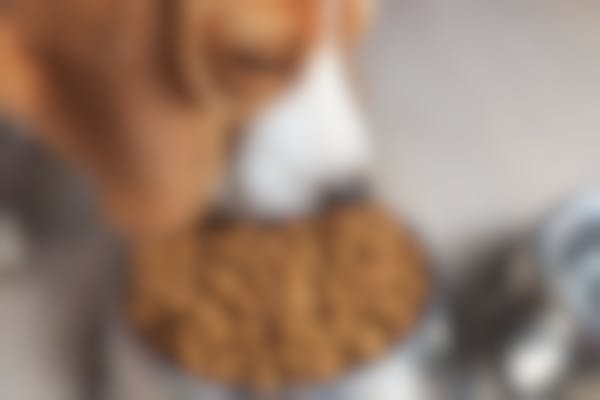 croquettes Virbac Veterinary HPM Adult Large et Medium croquettes Virbac Veterinary HPM Adult Large et Medium