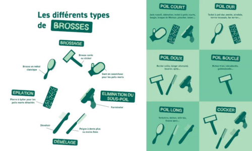 Les différents types de brosses