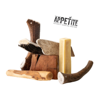 Friandises à mâcher pour chien