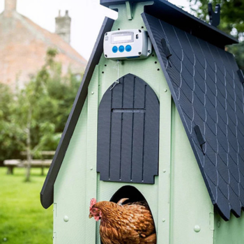 Protéger les poulets de la chaleur