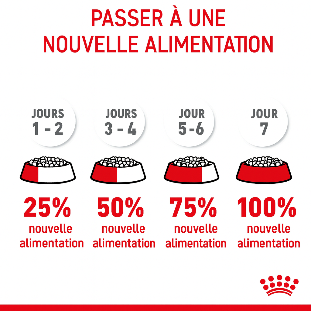 Programme pour changer progressivement l'alimentation de votre chat
