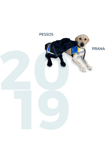 Partenariat de Vetostore avec l’école de chiens guides de Paris