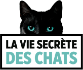 Partenariat de Vetostore avec Emission la vie secrète des chats