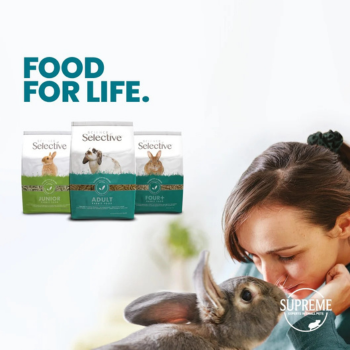 Selective nourriture pour lapin