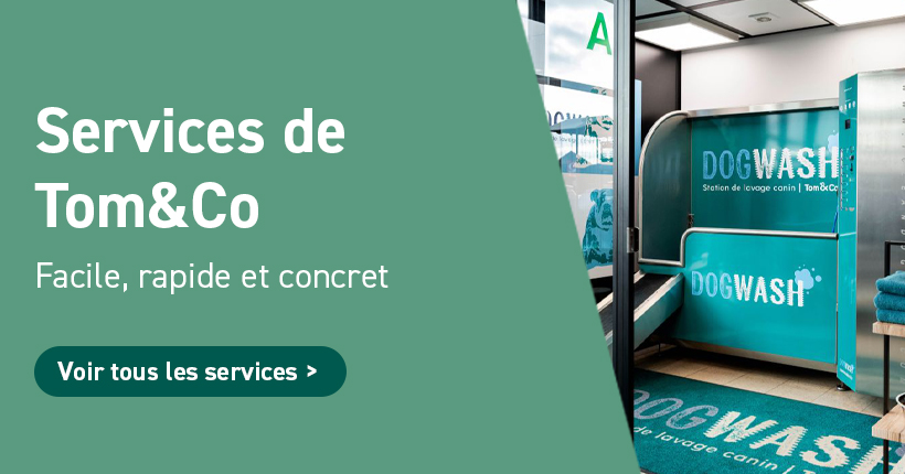 Services de Tom&Co