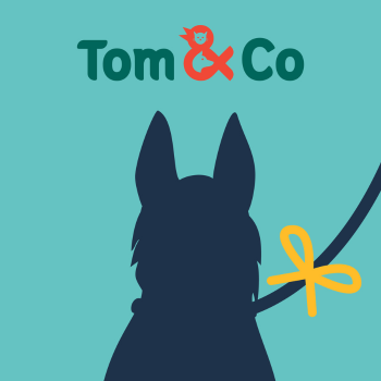 Chien au ruban jaune Tom&Co
