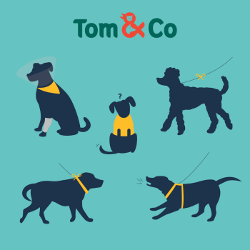 Le ruban jaune Tom&Co