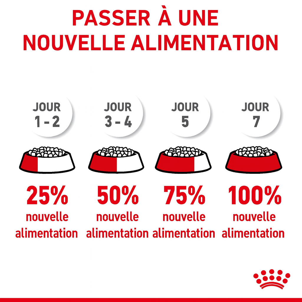 Schéma pour changer progressivement l’alimentation de votre chat