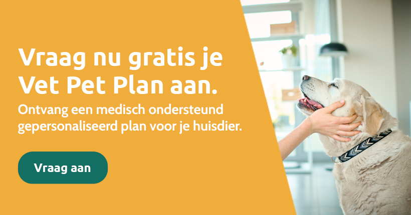 Royal Canin Ragdoll 2kg -Royal Honden Aanbiedingen Winkel vetpetplan 1 3