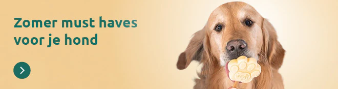 Start van de lente hond