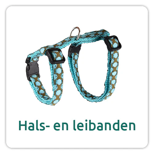 Weerstand en vitaliteit bij de kat