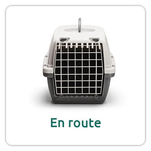 Flexadin voor kat